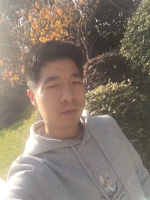 电子