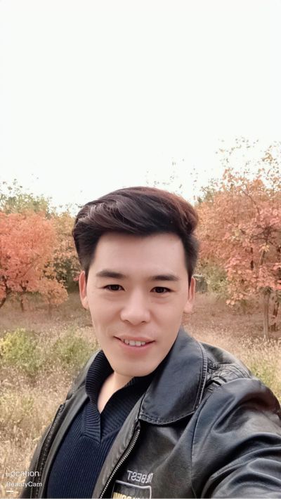 专业装卸搬运