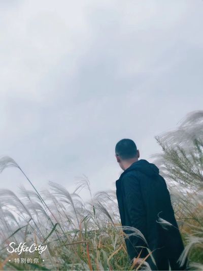 安装