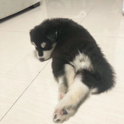 师傅