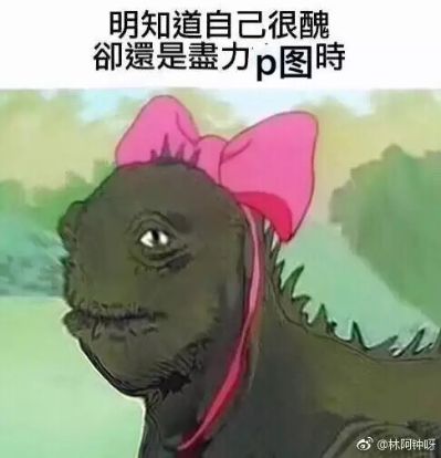 餐饮