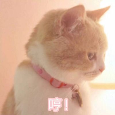 服务业