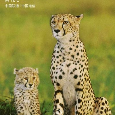 安装工