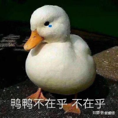 翻译