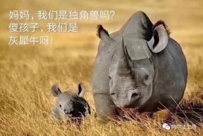维修