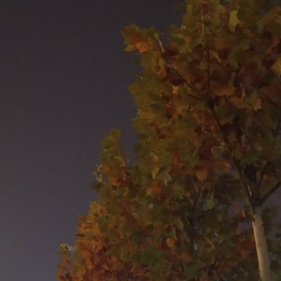 维修
