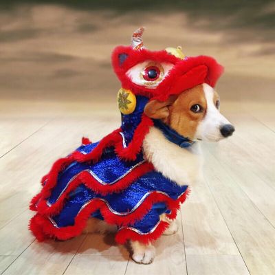 动画师