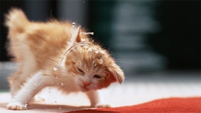 水电