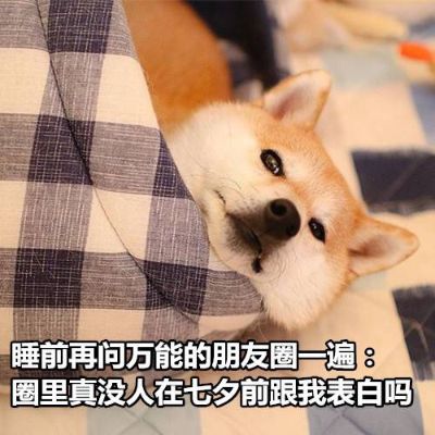 车行