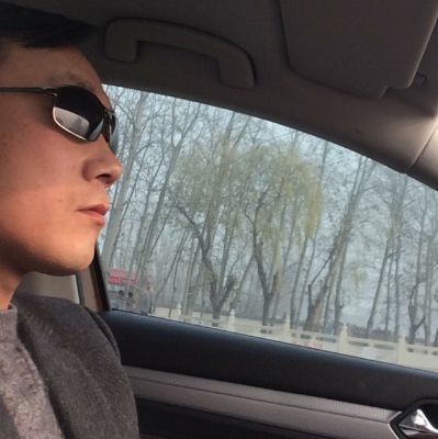 专业贴砖