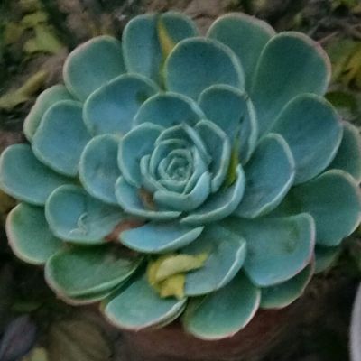 木地板安装