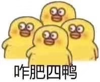 个体
