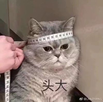 洁貝