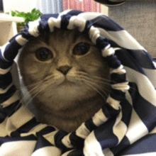 水电