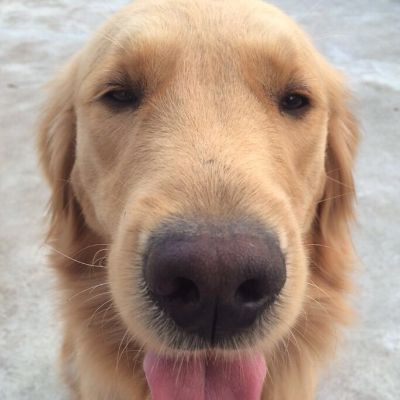 安装服务卫浴安装智能坐便器净水器安装