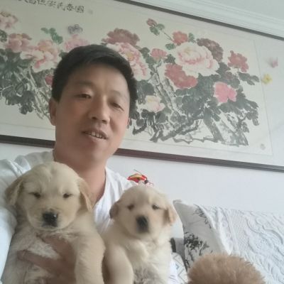 家具美容安装