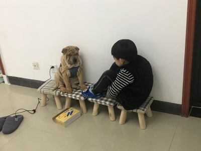 医生