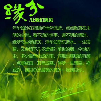水电灯具卫浴