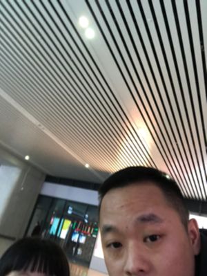 个体