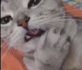 计算机
