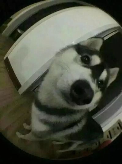 家具安装家具安装