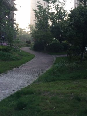 木漆