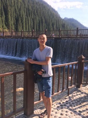 专业贴壁纸布