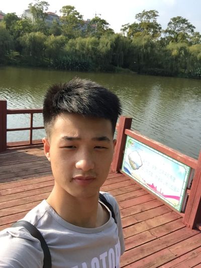贴砖