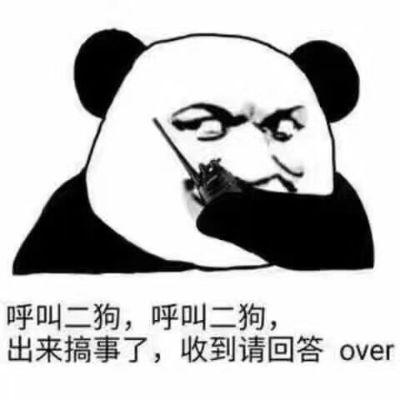 什么