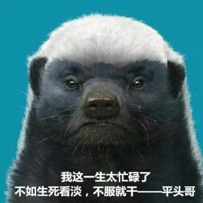 水电安装电焊电焊二保焊彩钢阳光房楼梯围挡护栏