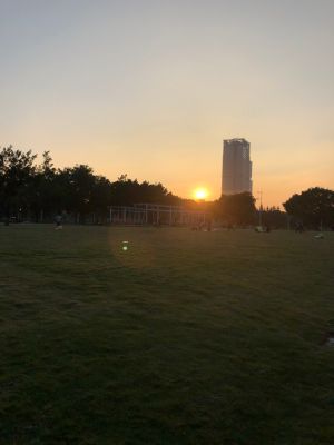 外贸
