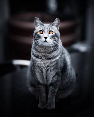 电工