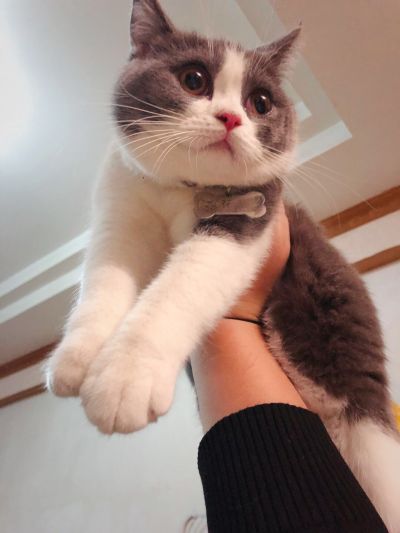 室内设计