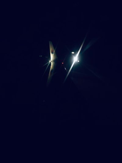 个体