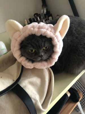 教育