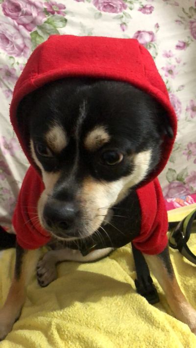 维修电工