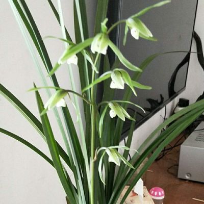 从事水电套房，办公室，店面