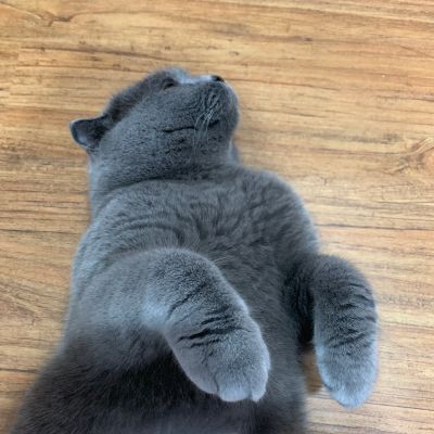 家装