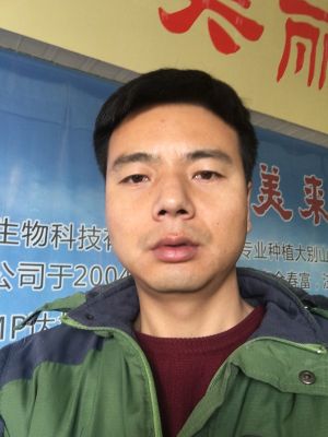 安装维修送货灯具洁具投影运动器材家具家电家政服务