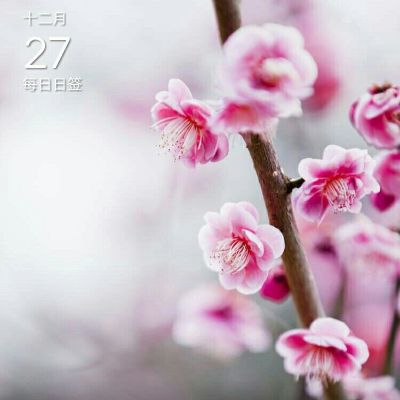 水电灯具洁具