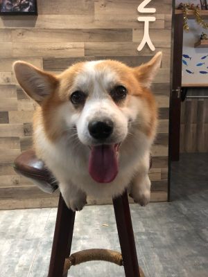 网吧
