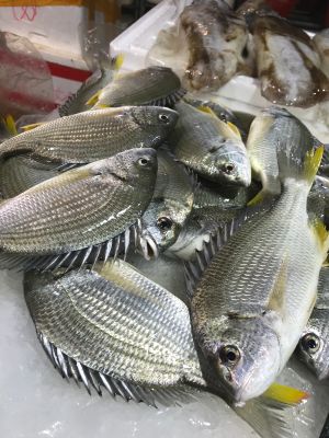 餐饮