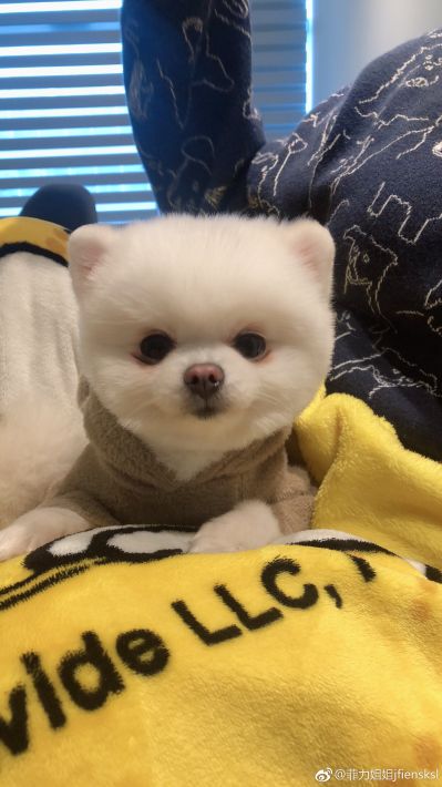 电工