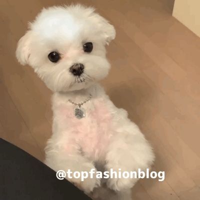 家具安装