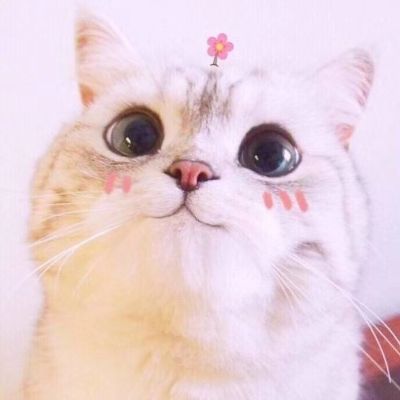 家具软装