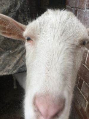 水电