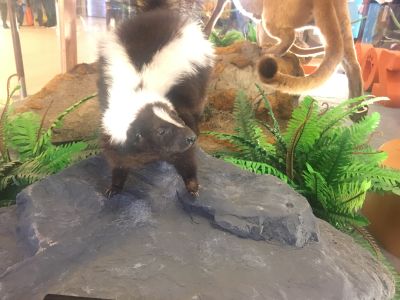 室内设计