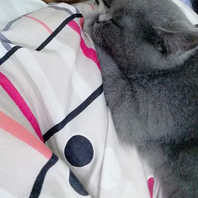 艺术涂料