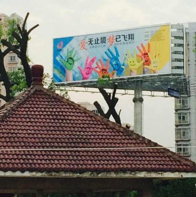 个体