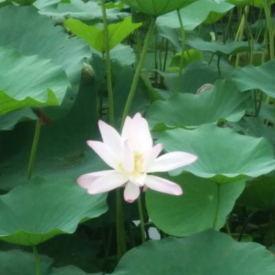 装修水电木工